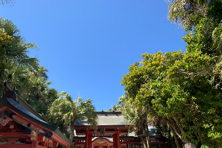 青島神社（宮崎・宮崎市）の写真