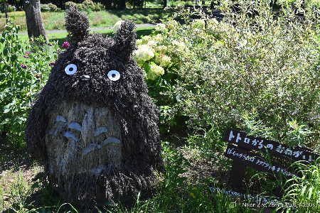 ルピナスパーク（宮崎・高鍋町）の写真
